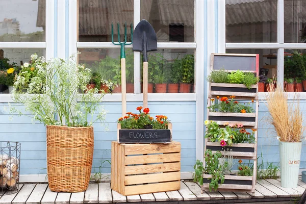 Utanför Träveranda Hus Med Gröna Växter Och Blommor Rutan Fasad — Stockfoto