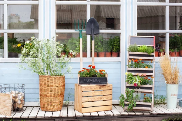 Utanför Träveranda Hus Med Gröna Växter Och Blommor Rutan Uteplats — Stockfoto