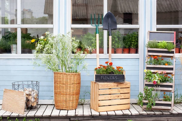 Utanför Träveranda Hus Med Gröna Växter Och Blommor Rutan Fasad — Stockfoto