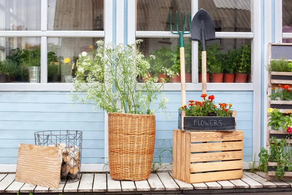 Außen Hölzerne Veranda Des Hauses Mit Grünen Pflanzen Und Blumen — Stockfoto