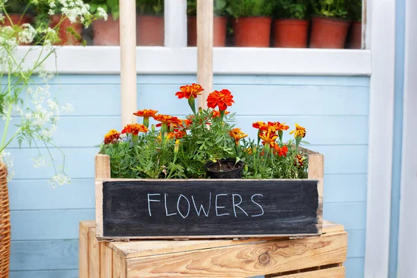 Montón Flores Caja Madera Calle Cerca Florería Flores Florecientes Tagetes — Foto de Stock