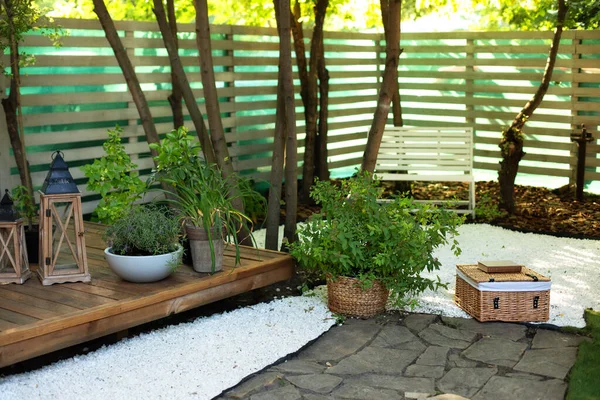 Terrazza Interna Con Piante Portico Legno Casa Piante Appartamento Vaso — Foto Stock