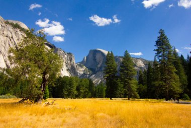 Half Dome ile Yosemite Ulusal Park Vadisi - California, ABD