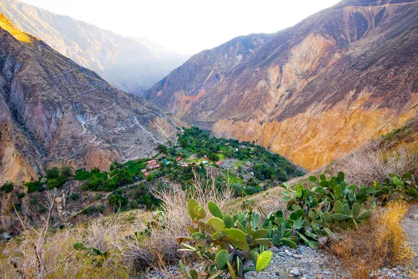 Oasis Sangalle en el fondo del cañón del Colca, Perú — Foto de Stock