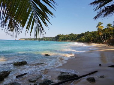 Dominik Cumhuriyeti, kumlu plajı olan bir körfez.