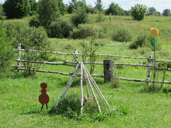 Region Rjasan Das Dorf Zhelannoe Die Figur Einer Ameise Und — Stockfoto