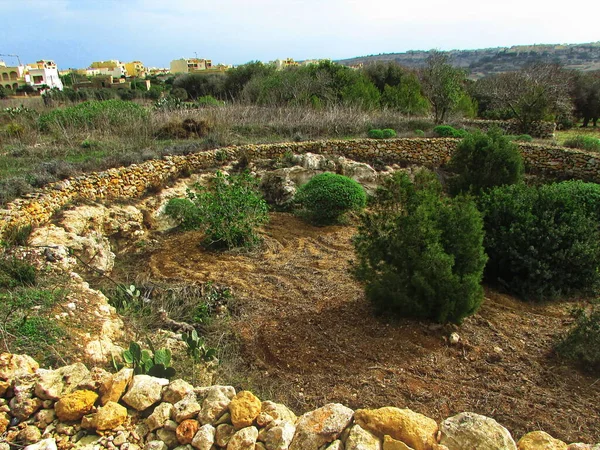 Malta Gozo Island City Bowl Megalith Ggantija — Stock Fotó