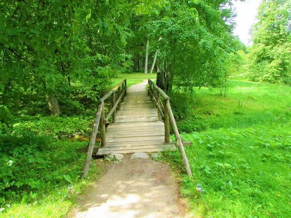 Yaz ormanında bir derenin üzerindeki tahta köprü.