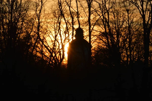 Rusya, Moskova bölgesi, Marfino malikanesi, günbatımında ormandaki kilise.