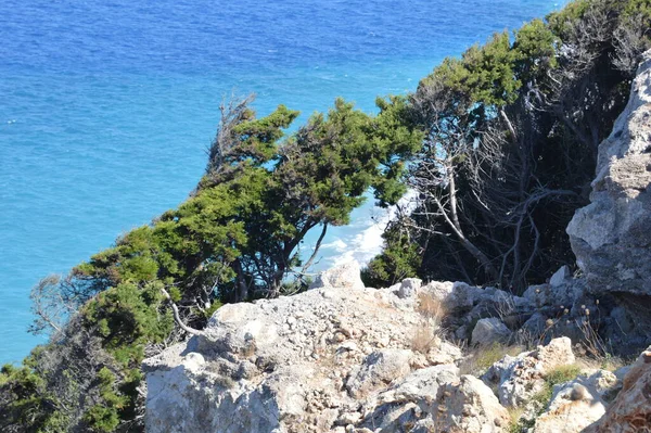 Grecja Wyspa Rodos Miasto Rodos Drzewa Skale Nad Morzem — Zdjęcie stockowe