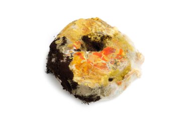 Beyaz arka planda siyah küflü tozdan yapılmış bir hamur işi. Çürümüş ve yenmez..