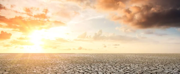 Panorama Dry Land Broken Sheets Unable Farm Sustain Life Due — Stock Photo, Image