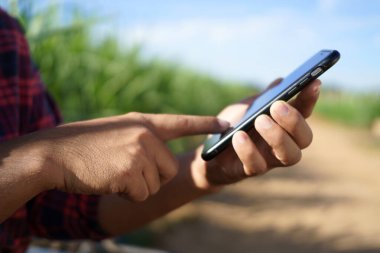 Çiftçi akıllı bir telefon tutuyor ve çiftlikteki akıllı yönetim sistemini bağlamak için ekrana dokunuyor. akıllı çiftçiler çevrimiçi araştırma ve pazar bilgileri.
