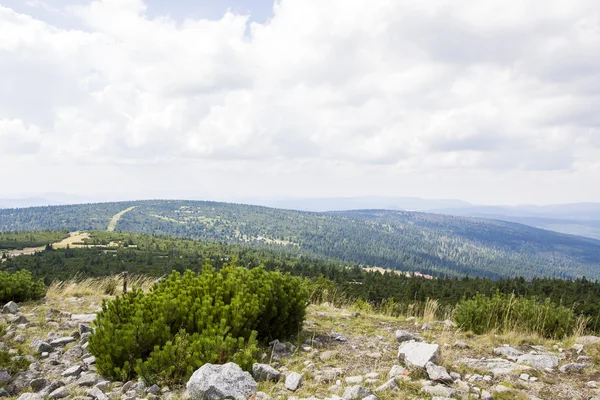 Polonya - Karkonosze Dev dağlar — Stok fotoğraf