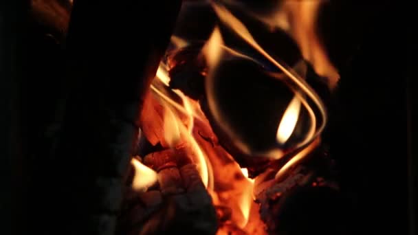 Eld och glöd i elden — Stockvideo