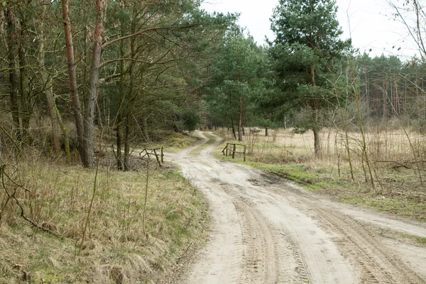 La route à travers la forêt — Photo