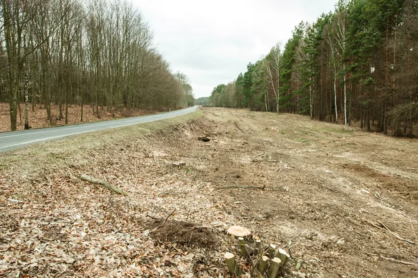 Forest cutting on the road — Stock Photo, Image