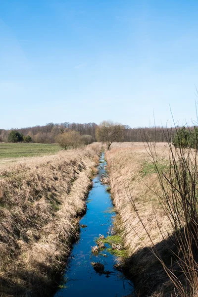 Cours d'eau dans la forêt - Automne — Photo