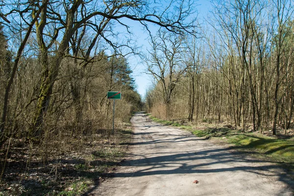 The road through the forest — Stock Photo, Image