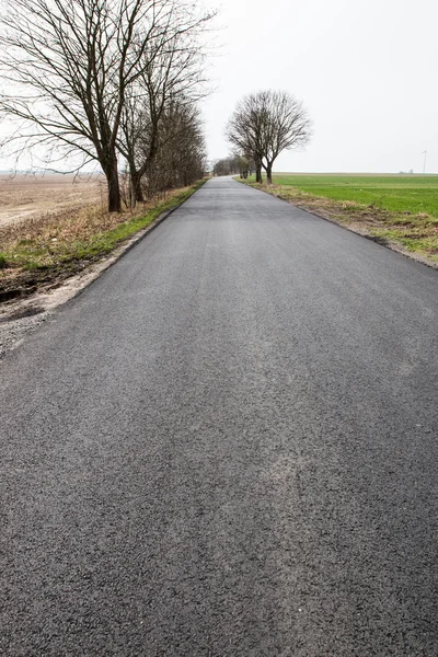 El camino de asfalto entre campos — Foto de Stock