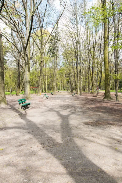 Il sentiero nel parco stagione primaverile — Foto Stock