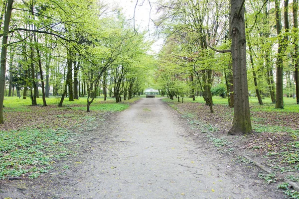 Ścieżki w parku sezon wiosna — Zdjęcie stockowe