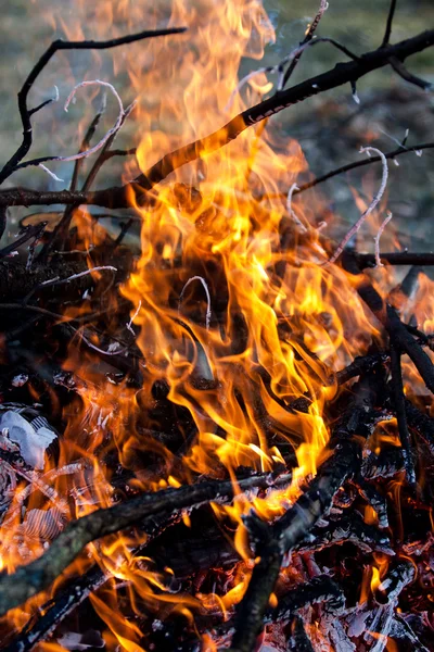 Cheminée - flammes et braises de bois — Photo