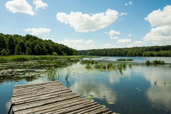 Pont sur un lac dans les bois — Photo