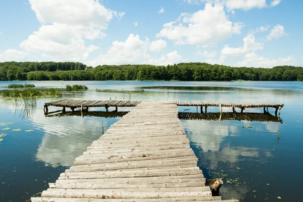 Pont sur un lac dans les bois — Photo