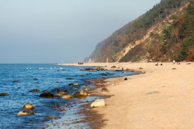 Wolin Milli Park beach - Mi? dzyzdroje - Polonya