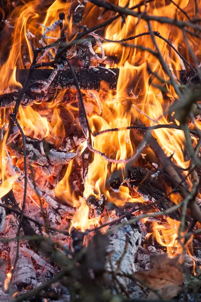 力の概念として火災の残り火 — ストック写真