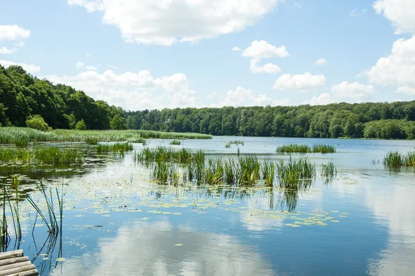 Bridge over the lake — Stock Photo, Image