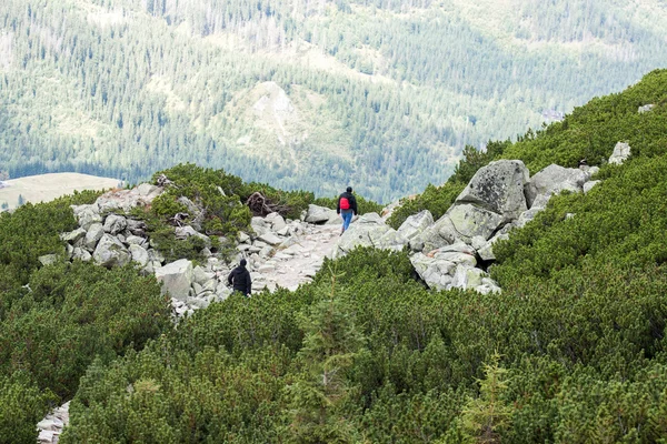 Escursione in alta montagna in estate — Foto Stock