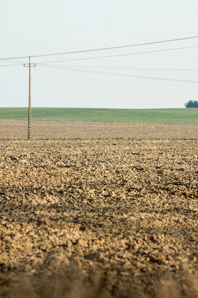Agricultural field , with pylons - current — Stock Photo, Image