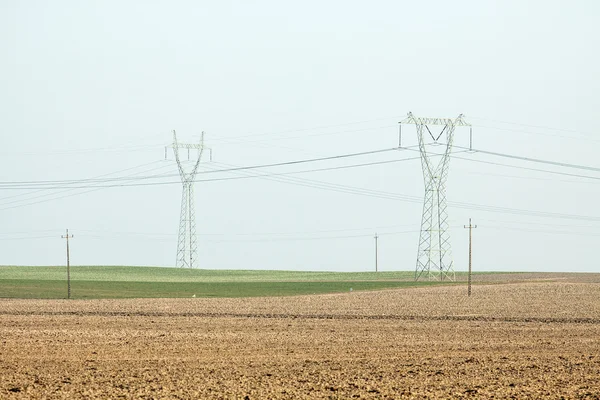 Champ agricole, avec pylônes - courant — Photo