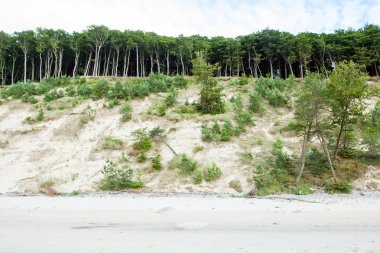 Denizin kenarında yüksek tepeleri