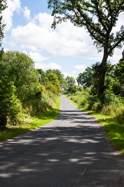 La strada tra gli alberi — Foto Stock