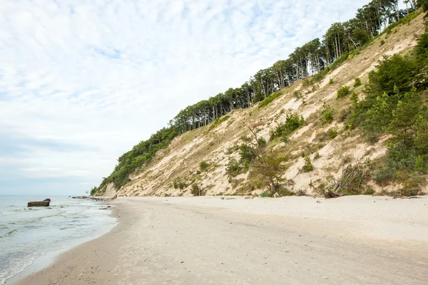 Wolinski National Park - Miedzyzdroje Poland — Stock Photo, Image