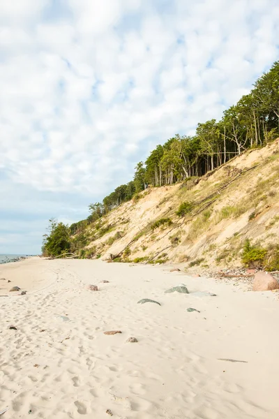 Wolinski National Park - Miedzyzdroje Poland — Stock Photo, Image