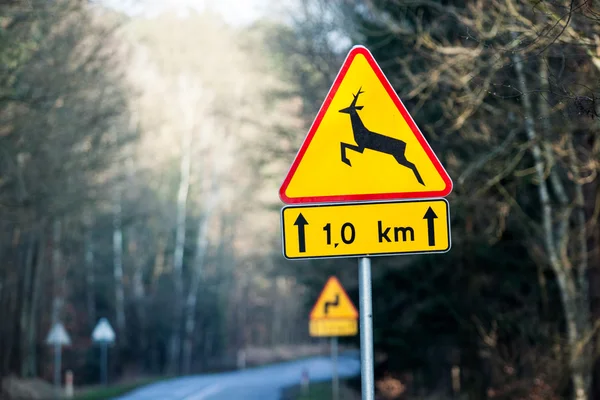 Panneau de signalisation - attention aux cerfs — Photo