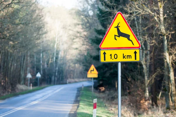Znak drogowy - Uważaj na jelenie — Zdjęcie stockowe