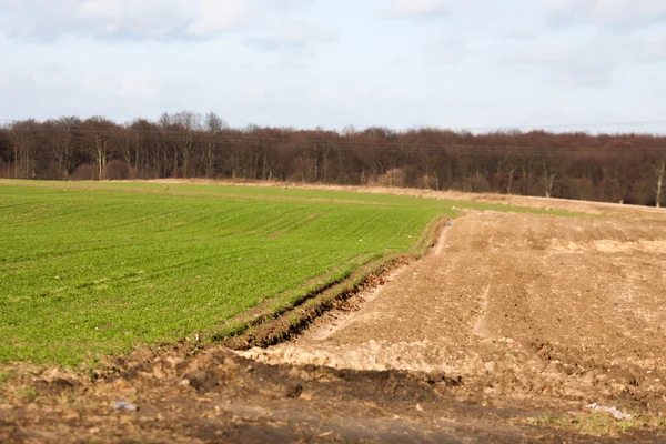 Terres agricoles à la fin de l'automne lorsque la forêt — Photo