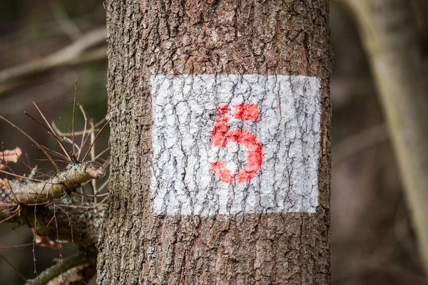 The number on the tree to be cut — Stock Photo, Image