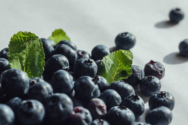 masaüstü duvar kağıdı. Sağlıklı beslenme. Böğürtlen. Sağlık ve tazelik kavramı. Yabanmersini yakın plan.