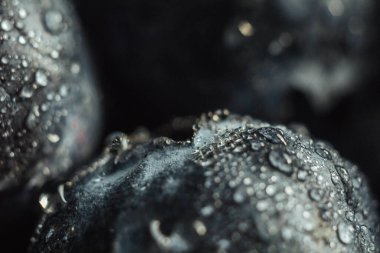 Su damlalı yaban mersini. Çileğin güzel makro fotoğrafı. masaüstü duvar kağıdı. Sağlık ve tazelik kavramı