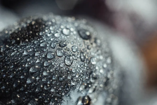 Blueberries Water Drops Beautiful Macro Photo Berry Desktop Wallpaper Health — Stock Photo, Image