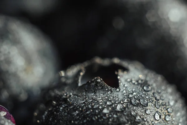 Mirtilos Com Gotas Água Bela Foto Macro Uma Baga Fundo — Fotografia de Stock