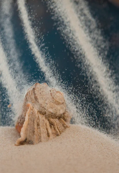 Bunte Flussmuscheln Liegen Chaotisch Auf Dem Sand Meer Makrofotografie Nahaufnahme — Stockfoto