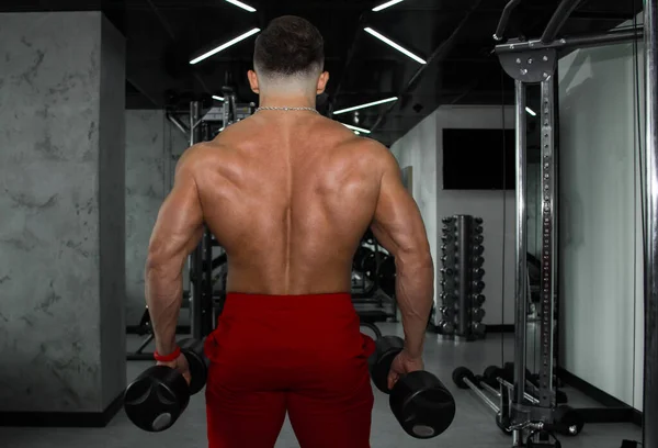 一个肌肉很大的男人正在体育馆里练举重 一个精力充沛的运动员在重量级模拟器上参加体育运动 体育锻炼 — 图库照片