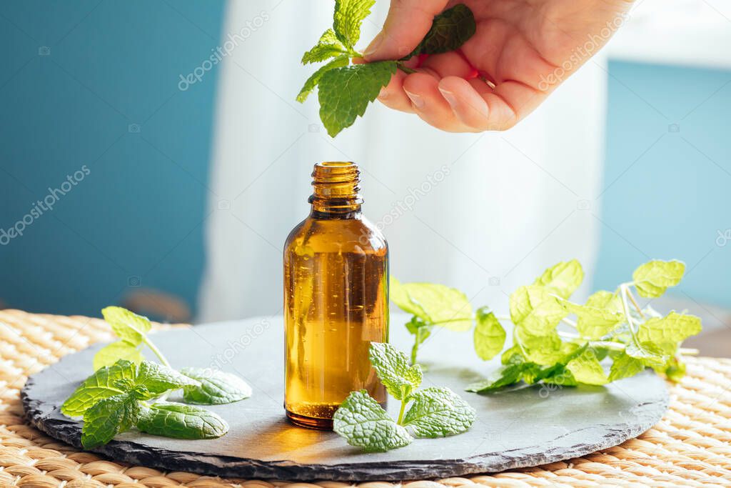 Hand holding peppermint leaves with mint or peppermint essential oil in a glass bottle used as an alternative medicine in aromatherapy or diluted in a carrier oil directly on skin